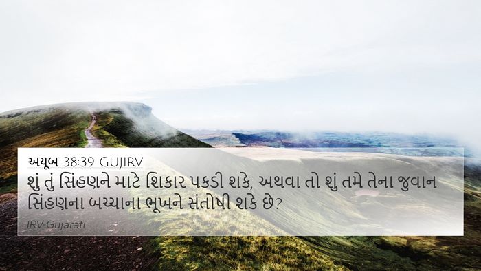 અયૂબ 38:39 GUJIRV Bible Verse Image