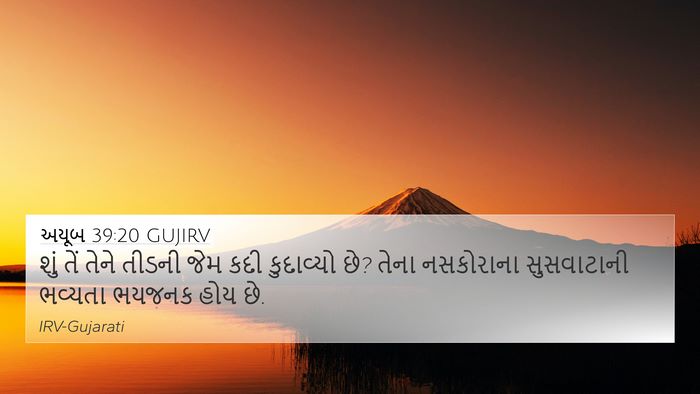 અયૂબ 39:20 GUJIRV 4K Wallpaper - શું તેં તેને તીડની - 4K Wallpaper Bible Verse