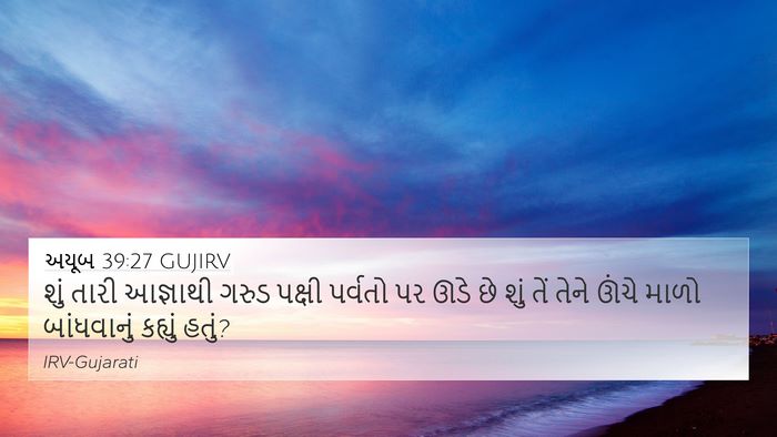 અયૂબ 39:27 GUJIRV Bible Verse Image