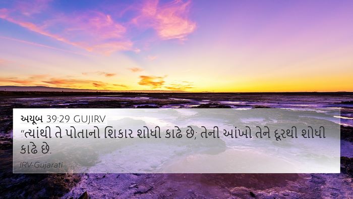 અયૂબ 39:29 GUJIRV Bible Verse Image