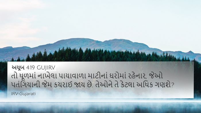 અયૂબ 4:19 GUJIRV Bible Verse Image