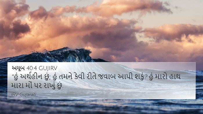 અયૂબ 40:4 GUJIRV Bible Verse Image