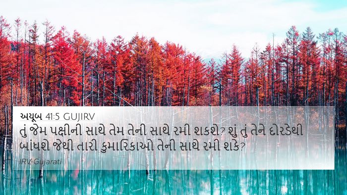 અયૂબ 41:5 GUJIRV Bible Verse Image