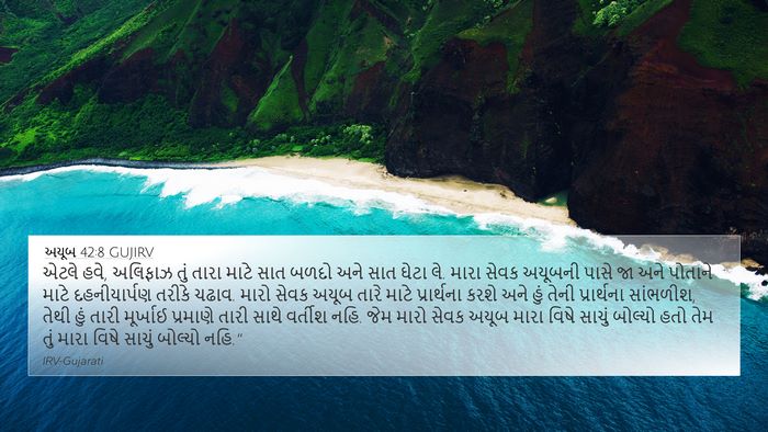અયૂબ 42:8 GUJIRV Bible Verse Image