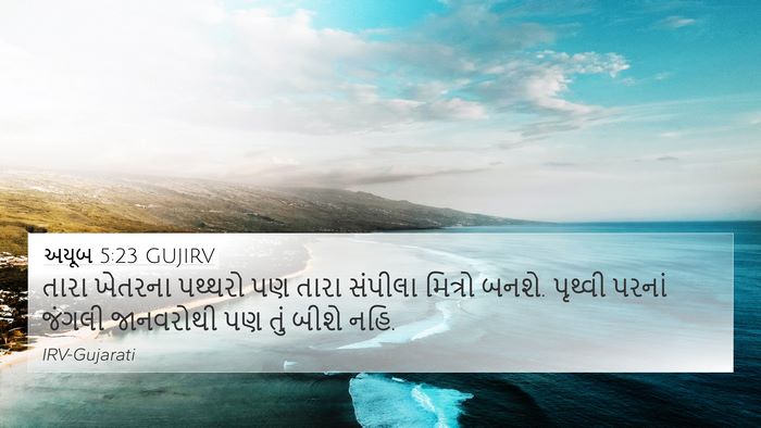 અયૂબ 5:23 GUJIRV Bible Verse Image