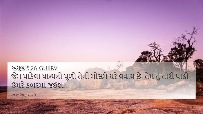 અયૂબ 5:26 GUJIRV Bible Verse Image