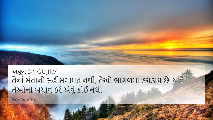 અયૂબ 5:4 GUJIRV Bible Verse Image
