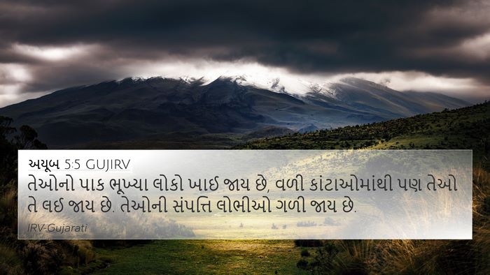અયૂબ 5:5 GUJIRV Bible Verse Image