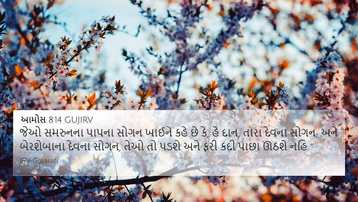 આમોસ 8:14 GUJIRV Bible Verse Image