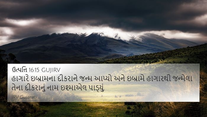 ઉત્પત્તિ 16:15 GUJIRV Bible Verse Image