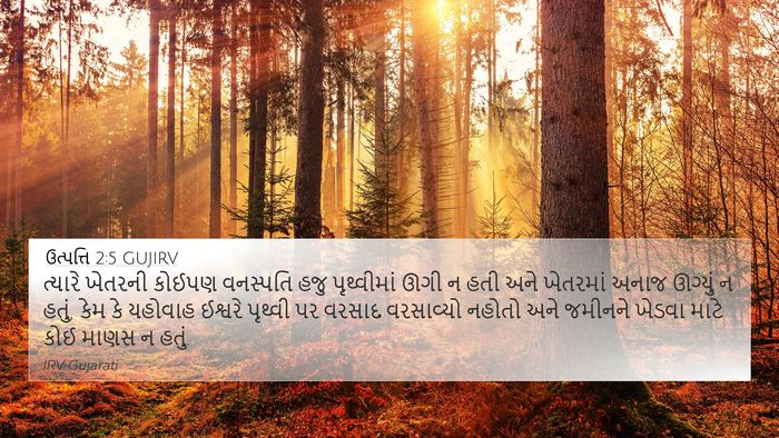 ઉત્પત્તિ 2:5 GUJIRV Bible Verse Image
