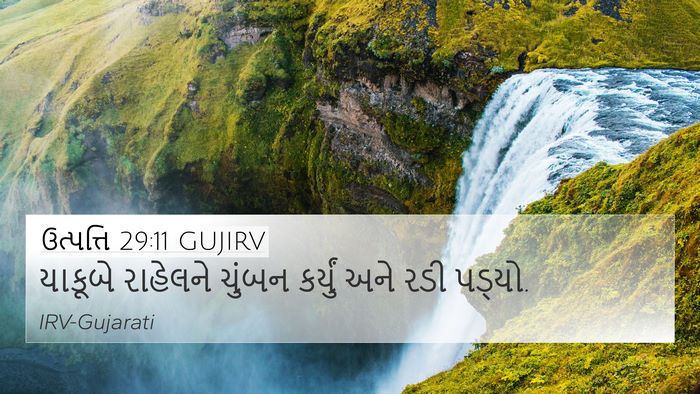 ઉત્પત્તિ 29:11 GUJIRV Bible Verse Image