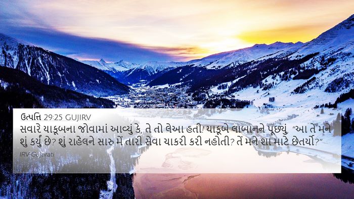 ઉત્પત્તિ 29:25 GUJIRV Bible Verse Image