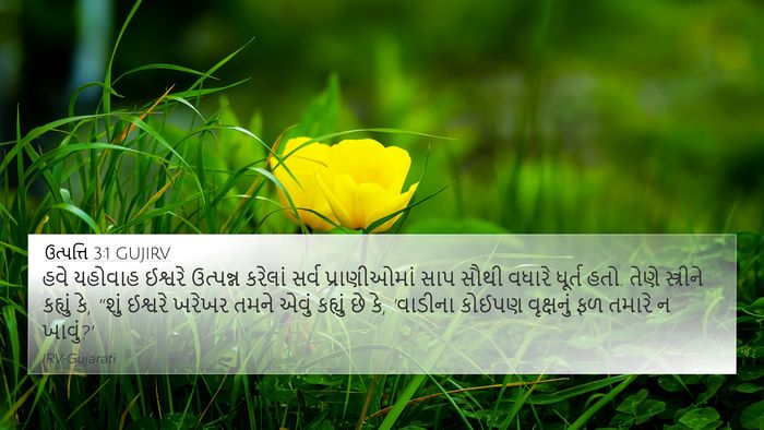ઉત્પત્તિ 3:1 GUJIRV 4K Wallpaper - હવે યહોવાહ ઈશ્વરે - 4K Wallpaper Bible Verse