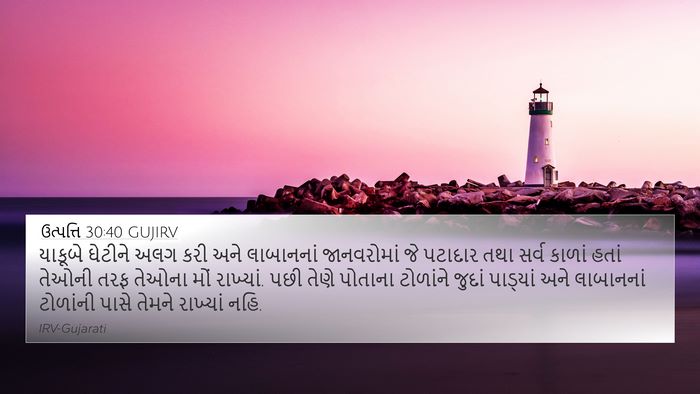 ઉત્પત્તિ 30:40 GUJIRV 4K Wallpaper - યાકૂબે ઘેટીને અલગ - 4K Wallpaper Bible Verse