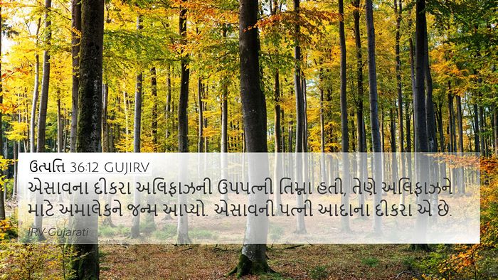 ઉત્પત્તિ 36:12 GUJIRV 4K Wallpaper - એસાવના દીકરા - 4K Wallpaper Bible Verse