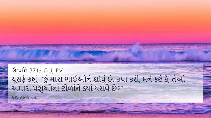 ઉત્પત્તિ 37:16 GUJIRV 4K Wallpaper - યૂસફે કહ્યું, “હું - 4K Wallpaper Bible Verse