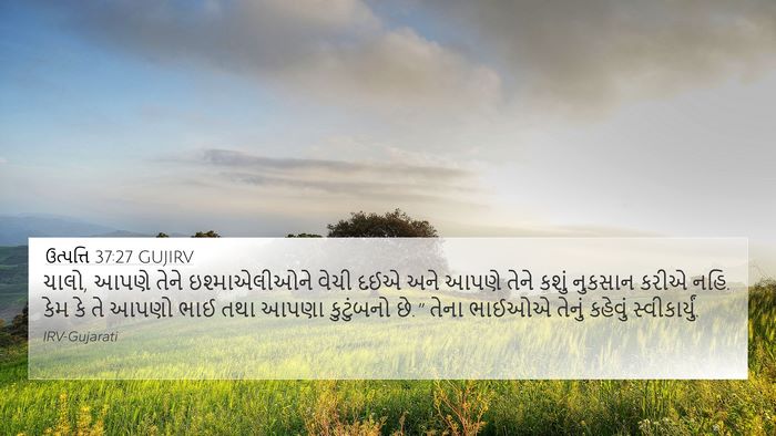 ઉત્પત્તિ 37:27 GUJIRV Bible Verse Image