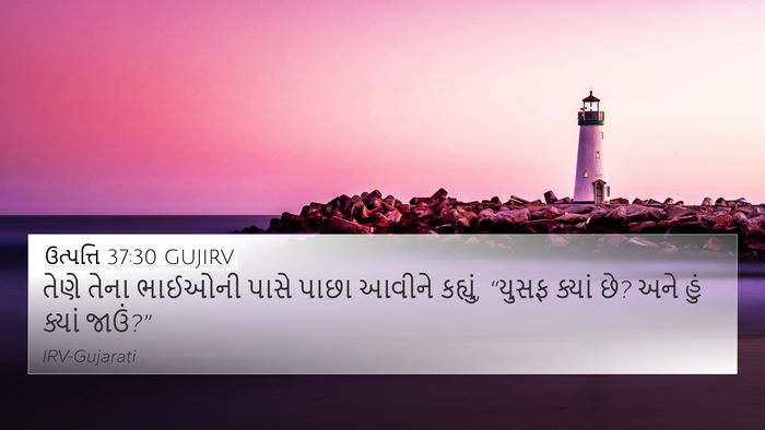 ઉત્પત્તિ 37:30 GUJIRV Bible Verse Image