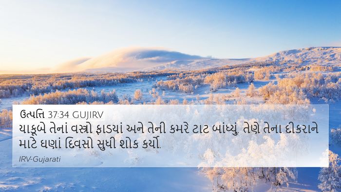 ઉત્પત્તિ 37:34 GUJIRV Bible Verse Image