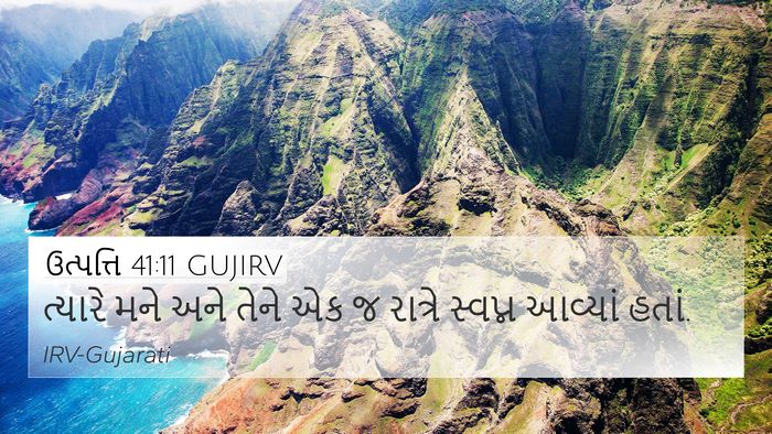 ઉત્પત્તિ 41:11 GUJIRV Bible Verse Image