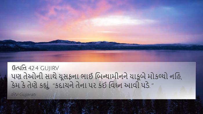 ઉત્પત્તિ 42:4 GUJIRV Bible Verse Image