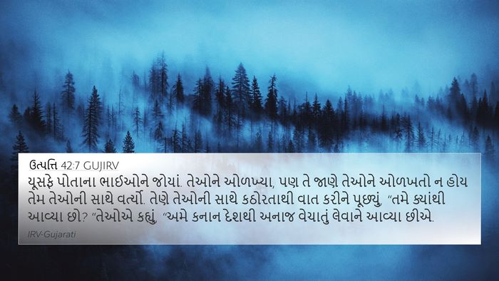 ઉત્પત્તિ 42:7 GUJIRV Bible Verse Image
