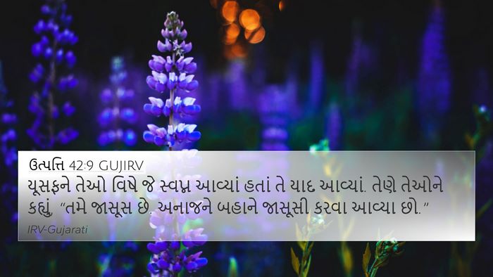 ઉત્પત્તિ 42:9 GUJIRV Bible Verse Image