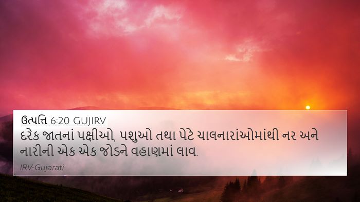 ઉત્પત્તિ 6:20 GUJIRV 4K Wallpaper - દરેક જાતનાં - 4K Wallpaper Bible Verse