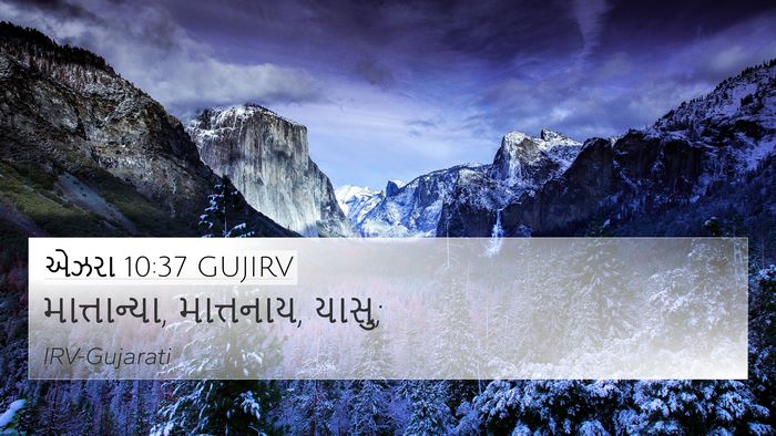એઝરા 10:37 GUJIRV 4K Wallpaper - માત્તાન્યા, - 4K Wallpaper Bible Verse
