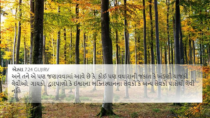 એઝરા 7:24 GUJIRV Bible Verse Image
