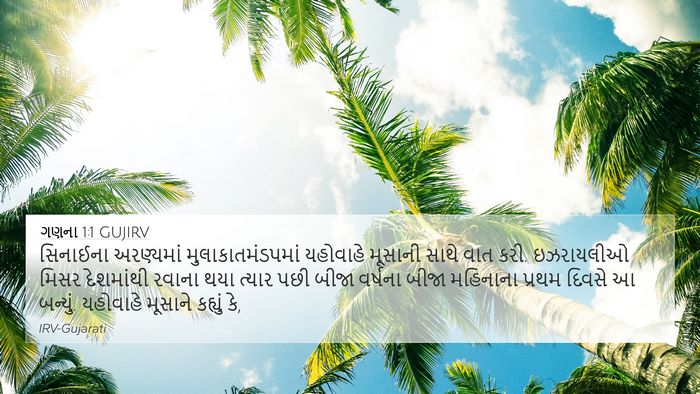 ગણના 1:1 GUJIRV Bible Verse Image