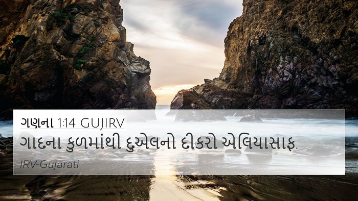 ગણના 1:14 GUJIRV Bible Verse Image