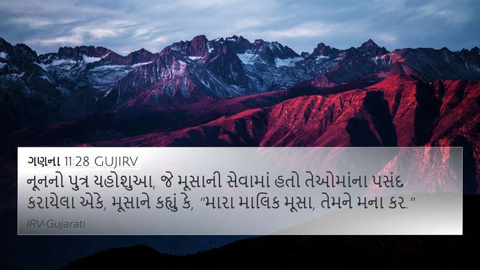ગણના 11:28 GUJIRV Bible Verse Image