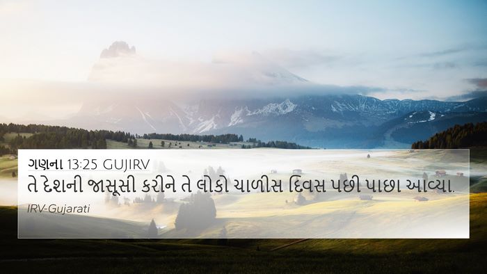 ગણના 13:25 GUJIRV Bible Verse Image