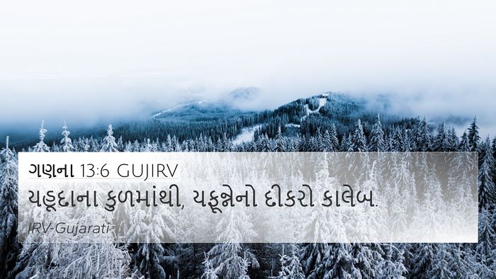 ગણના 13:6 GUJIRV 4K Wallpaper - યહૂદાના કુળમાંથી, - 4K Wallpaper Bible Verse
