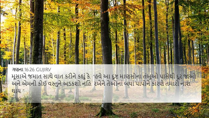 ગણના 16:26 GUJIRV Bible Verse Image