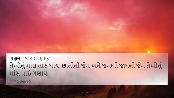 ગણના 18:18 GUJIRV 4K Wallpaper - તેઓનું માંસ તારું - 4K Wallpaper Bible Verse