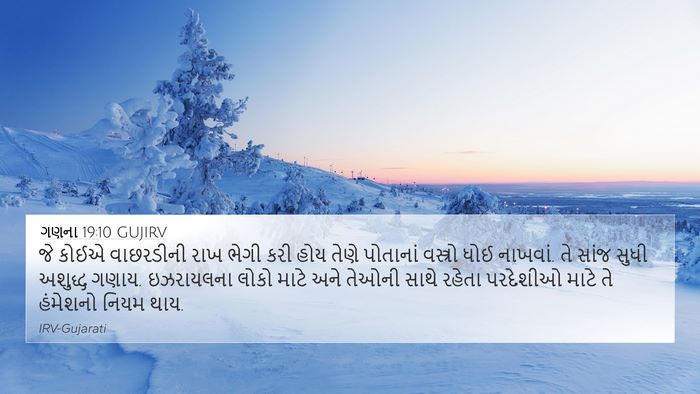 ગણના 19:10 GUJIRV 4K Wallpaper - જે કોઈએ વાછરડીની - 4K Wallpaper Bible Verse