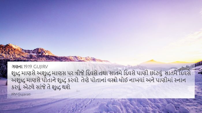 ગણના 19:19 GUJIRV Bible Verse Image