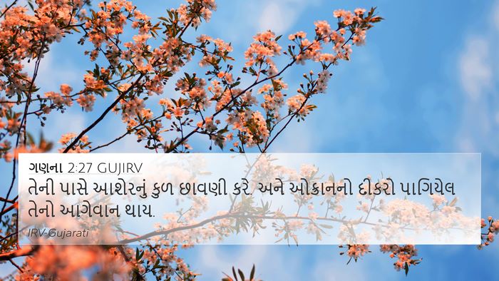 ગણના 2:27 GUJIRV Bible Verse Image