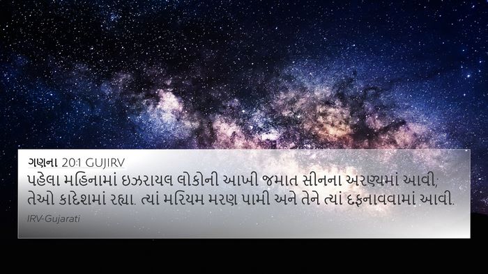 ગણના 20:1 GUJIRV Bible Verse Image