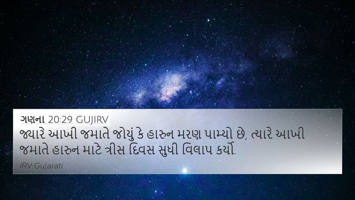 ગણના 20:29 GUJIRV Bible Verse Image