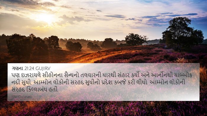 ગણના 21:24 GUJIRV Bible Verse Image