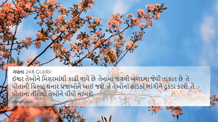 ગણના 24:8 GUJIRV Bible Verse Image
