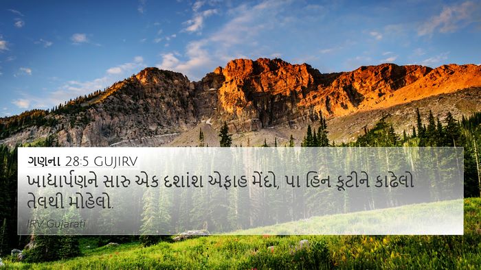 ગણના 28:5 GUJIRV Bible Verse Image