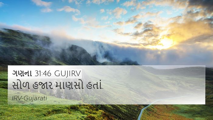ગણના 31:46 GUJIRV 4K Wallpaper - સોળ હજાર માણસો - 4K Wallpaper Bible Verse