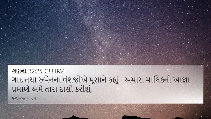 ગણના 32:25 GUJIRV Bible Verse Image