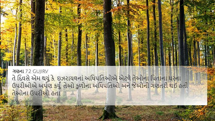 ગણના 7:2 GUJIRV Bible Verse Image