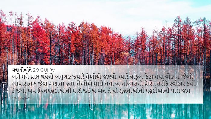 ગલાતીઓને 2:9 GUJIRV Bible Verse Image